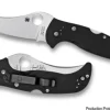 Spyderco Chinook™ Ii G-10* Archived Products