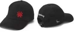 Spyderco Hat Bug Black* Accessories