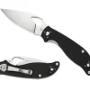 Spyderco Raven™ 2* Byrd Knives
